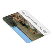 Botswana Central Kalahari Lions Savannah Travel Magnet (Rechte Seite)