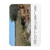 Botswana Central Kalahari Lions Savannah Travel Magnet (Vertikal)