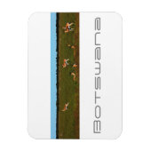 Botswana Central Kalahari Savannah Springboks Magnet (Vertikal)