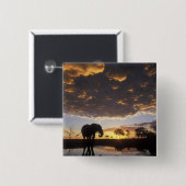Botswana, Chobe National Park, Elephant Button (Vorne & Hinten)