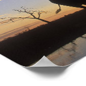 Botswana, Chobe National Park, Elephant Poster (Ecke)