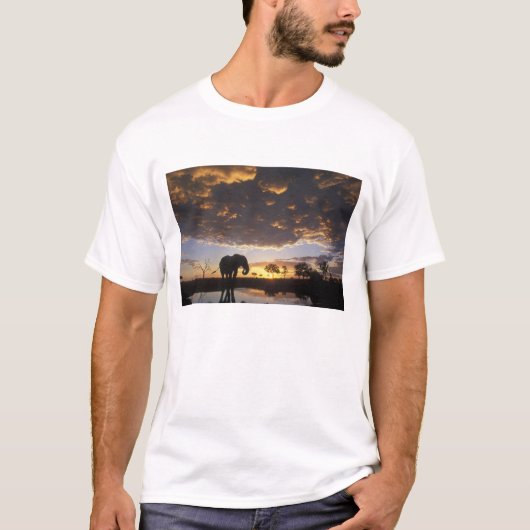 Botswana, Chobe National Park, Elephant T-Shirt (Vorderseite)