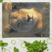 Botswana, Chobe National Park, Lionesses Handtuch (Gefaltet)