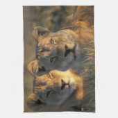 Botswana, Chobe National Park, Lionesses Handtuch (Vertikal)