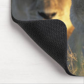 Botswana, Chobe National Park, Lionesses Mousepad (Ecke)