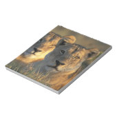 Botswana, Chobe National Park, Lionesses Notizblock (Rotiert)