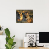 Botswana, Chobe National Park, Lionesses Poster (Heimbüro)
