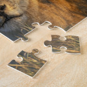 Botswana, Chobe National Park, Lionesses Puzzle (Seite)