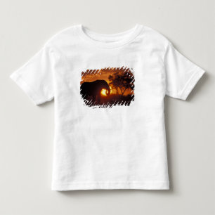Botswana, Chobe-Nationalpark, Bullelefant Kleinkind T-shirt