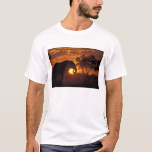 Botswana, Chobe-Nationalpark, Bullen-Elefant T-Shirt
