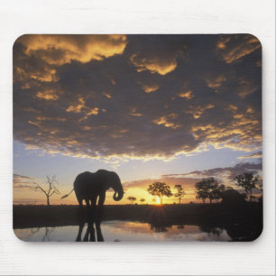 Botswana, Chobe-Nationalpark, Elefant Mousepad