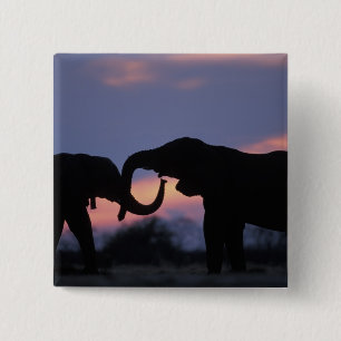 Botswana, Chobe-Nationalpark, Elefanten Button
