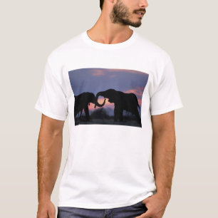 Botswana, Chobe-Nationalpark, Elefanten T-Shirt