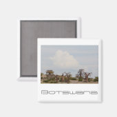 Botswana Kubu Baobab Island Go Magnet (Vorderseite/Rückseite)