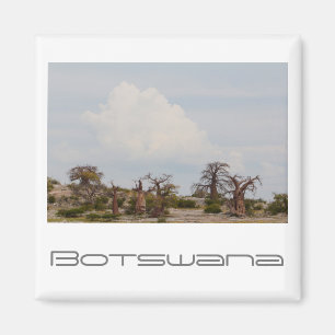 Botswana Kubu Baobab Island Go Magnet