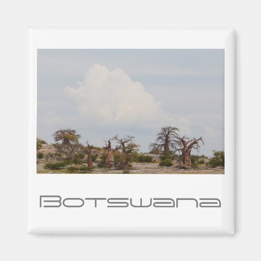 Botswana Kubu Baobab Island Go Magnet (Vorne)