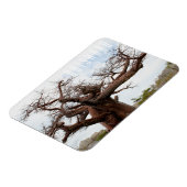 Botswana Kubu Baobab Island Go Magnet (Linke Seite)
