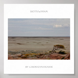 Botswana Kubu Baobab Island View Travel Poster