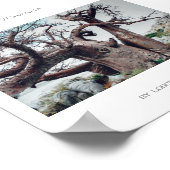 Botswana Kubu Island Baobab Reiseplakat Poster (Ecke)