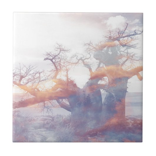 Botswana Kubu Island Baobab Tree Fliese (Vorderseite)