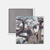 Botswana Kubu Island Baobab Tree Magnet (Vorderseite/Rückseite)