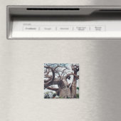 Botswana Kubu Island Baobab Tree Magnet (In Situ (Geschirrspüler))