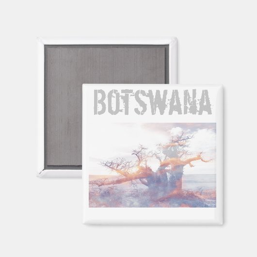 Botswana Kubu Island Baobab Tree Magnet (Vorderseite/Rückseite)