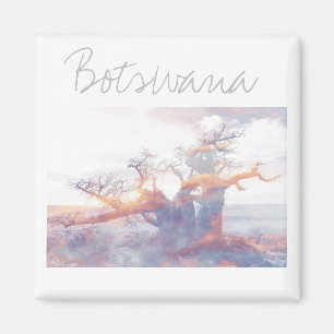 Botswana Kubu Island Baobab Tree Magnet