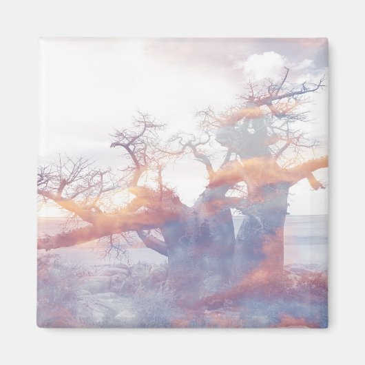 Botswana Kubu Island Baobab Tree Magnet (Vorne)