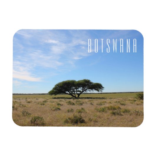 Botswana Landschaft Savannah Savanna Tree Grass Magnet (Horizontal)