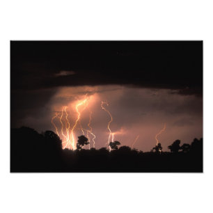 Botswana, Moremi Game Reserve, Blitzfilme Fotodruck