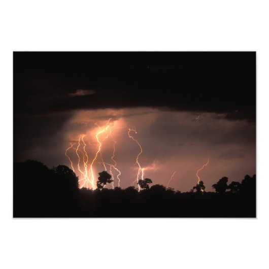 Botswana, Moremi Game Reserve, Blitzfilme Fotodruck (Vorne)