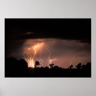 Botswana, Moremi Game Reserve, Blitzfilme Poster