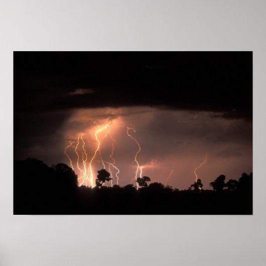 Botswana, Moremi Game Reserve, Blitzfilme Poster (Vorne)