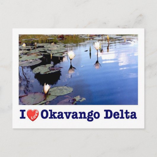 Botswana - Okavango-Delta - Ich liebe - Postkarte (Vorderseite)