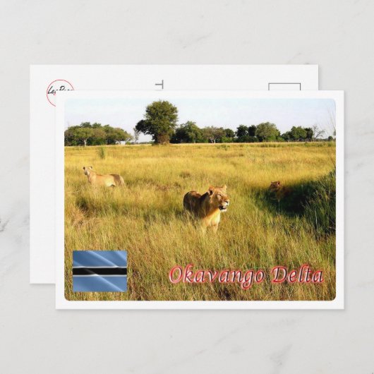 Botswana - Okavango-Delta - Postkarte (Vorne/Hinten)