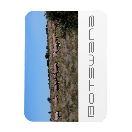 Botswana Oryx Animals Savannah Travel Magnet (Vertikal)