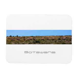 Botswana Oryx Animals Savannah Travel Magnet