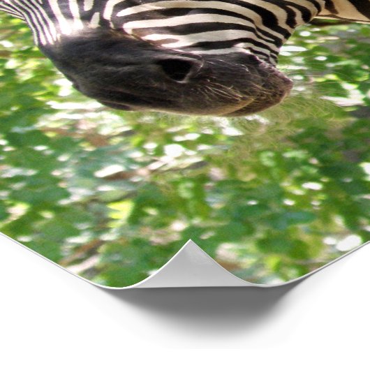 Botswana Poster (Ecke)