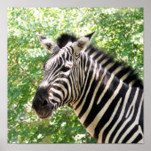 Botswana Poster (Vorne)