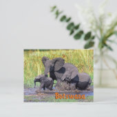 Botswana Postkarte (Stehend Vorderseite)