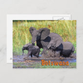 Botswana Postkarte (Vorne/Hinten)