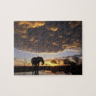 Botswana, Tschobe-Nationalpark, Elefant Puzzle