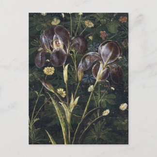 Botticelli Irises Postkarte