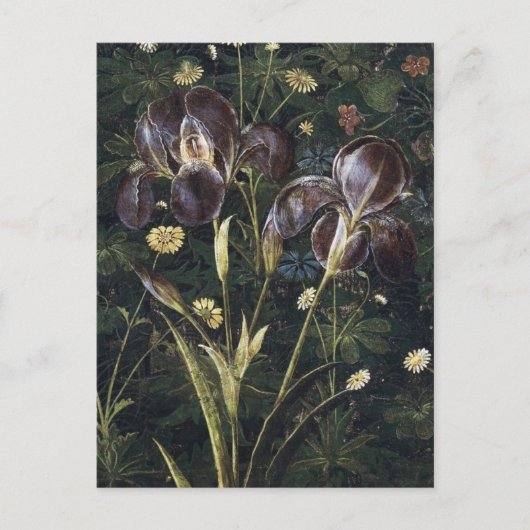 Botticelli Irises Postkarte (Vorderseite)