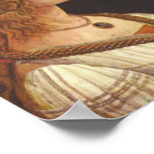 Botticelli-Portrait des jungen Simonetta Vespucci Poster (Ecke)