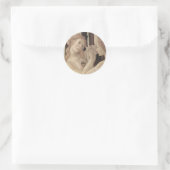Botticellis drei Graces Stickers (Tasche)