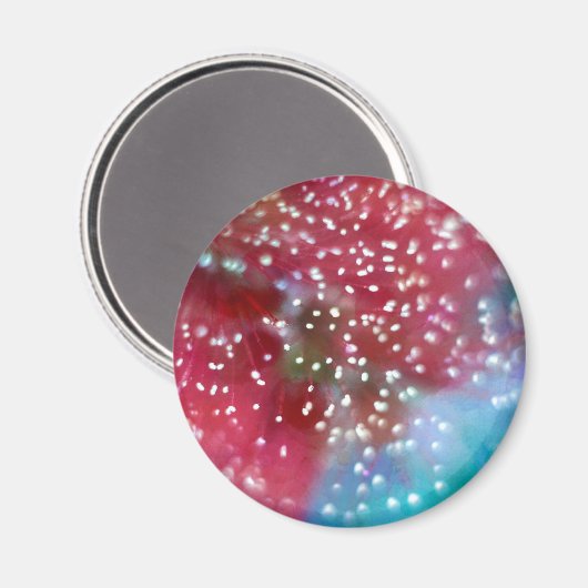 Bottlebrush-Blume Abstrakt Magnet (Vorderseite/Rückseite)