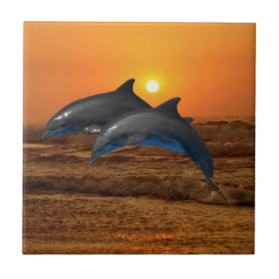 Bottlenose-Delphin am Sonnenuntergang Fliese