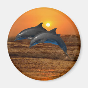 Bottlenose-Delphin am Sonnenuntergang Magnet